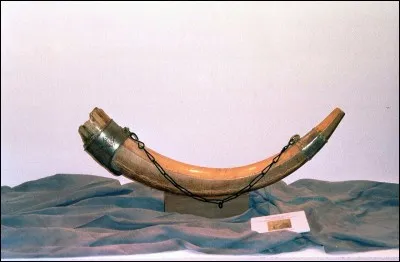 La réponse est historique et olifantesque !