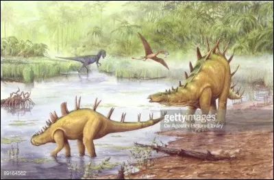 Quand vivait le Chialingosaurus ?Pr&eacute;cision avec &eacute;tages stratigraphiques.