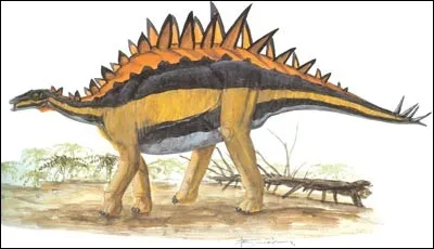 &Agrave; quoi servaient les plaques dorsales du Chialingosaurus ?