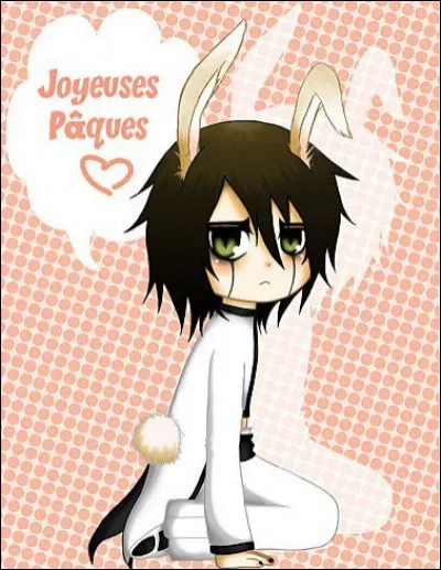 Son nom est Ulquiorra. Mais de quel manga est-il tiré ?