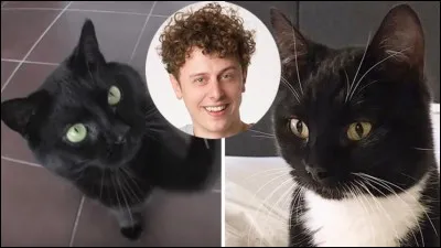 Comment s'appellent les deux chats de Norman ?