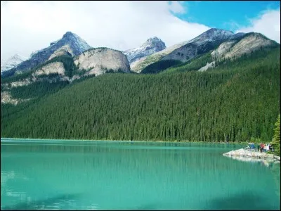 Auparavant, pour pouvoir circuler librement en France, les gens du voyage devaient disposer d'un livret de circulation, sorte de passeport interne qu'ils étaient régulièrement invités à produire à la gendarmerie. Depuis quelle année cette disposition très critiquée car discriminatoire n'est-elle plus en vigueur ?