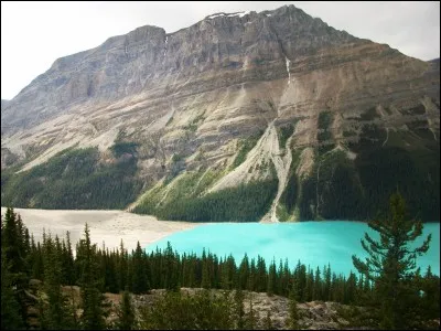 "Salaün Holidays" est l'une des principales entreprises sur le marché français du voyage organisé. De quelle région celle-ci est-elle originaire ?