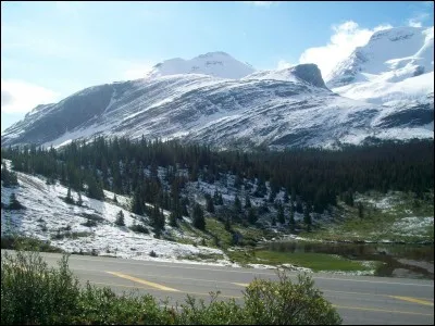 Quelle chanteuse interprète le tube "Voyage Voyage" ?