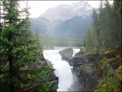 D'après une autre expression, que ménage celui qui veut voyager loin ?