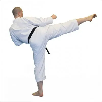 Quel est ce coup de pied ?