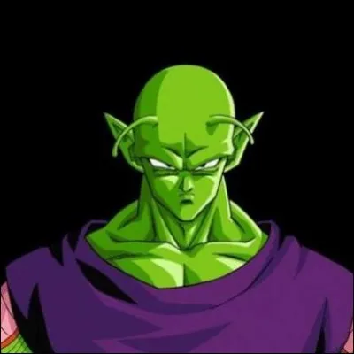 Quel nom Piccolo a-t-il utilisé lors du 23 ème Tenkaichi Budokai ?
