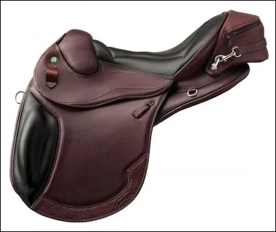 Comment s'appelle la partie de la selle où on peut se tenir ?