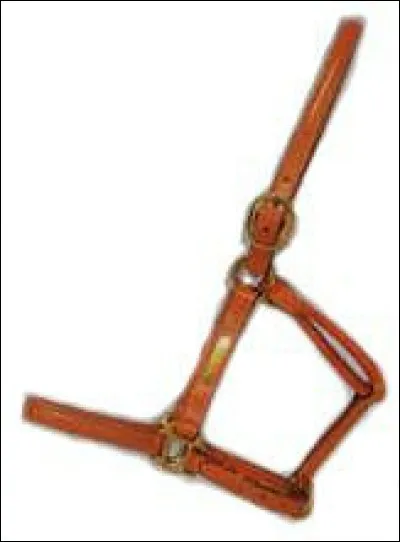 Comment s'appelle ce harnachement ?