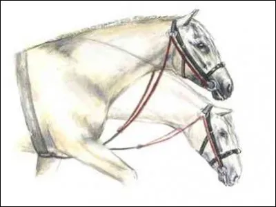 Dans laquelle de ces conditions peut-on utiliser un chambon ?