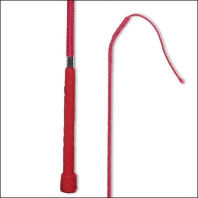 Dans quelle discipline est utilisée ce type de cravaches ?