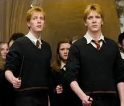 Les Weasley, que se passe-t-il ?
