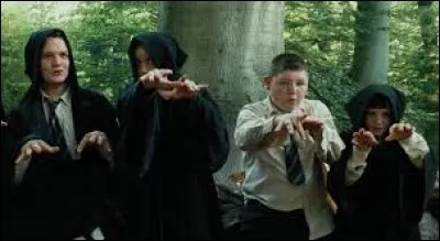 Tiens, tiens, encore les Serpentard ! Vous jouez aux mimes, j'adore ce jeu ! Attendez, laissez-moi deviner... non franchement je trouve pas, qu'est-ce que vous imitez ?