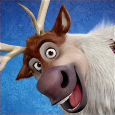 Comment le fidèle compagnon, qui s'occupe de tirer le traîneau, s'appelle-t-il ?