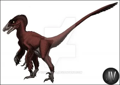 Deux spécimens de Saurornitholestes sont connus : "Saurornitholestes langstoni" et "Saurornitholestes sullivani" ; lequel de ces deux spécimens est le plus récent ?