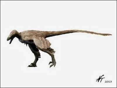 Par qui "Saurornitholestes sullivani" a-t-il été nommé ?