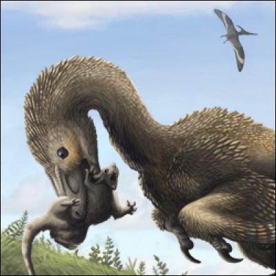 Que signifie le nom, "Saurornitholestes" ?