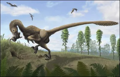 Quelle taille (longueur) faisait un Saurornitholestes ?