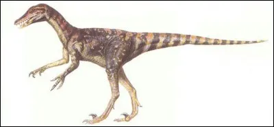 Saurornitholestes appartenait à la famille des :
