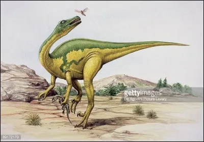 Quel est le poids estimé de Saurornitholestes ?