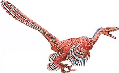 Dans quel État Saurornitholestes a-t-il été découvert ?