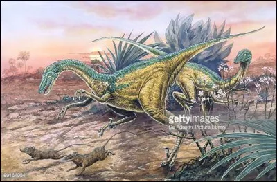 Le crâne et le squelette d'un Saurornitholestes étaient les plus apparentés à ceux d'un :