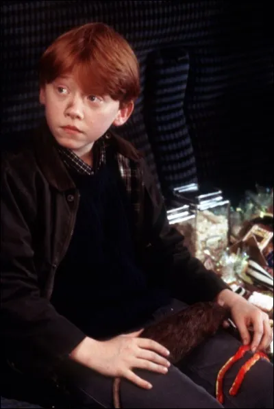 Qu'essaie de faire Ron à Croûtard à bord du Poudlard Express ?