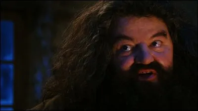Lorsque Hagrid vient chercher Harry chez les Dursley, que craint-il d'avoir fait à son gâteau d'anniversaire ?