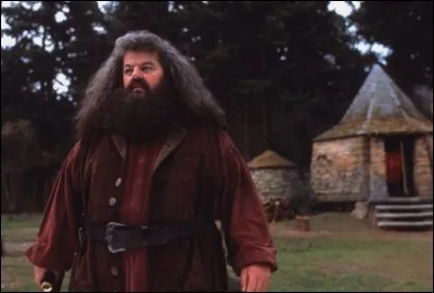 Qui espionne Harry, Ron et Hermione quand ils rendent visite à Hagrid dans sa cabane ?