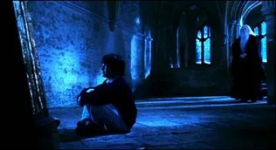 Selon Dumbledore, que verrait le plus heureux des hommes s'il se regardait dans le Miroir du Riséd ?