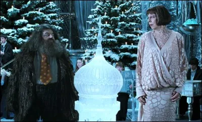 De qui Hagrid tombe-t-il amoureux ?
