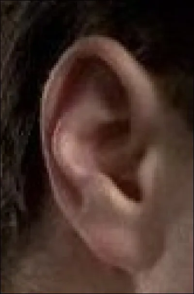 À qui est cette oreille ?