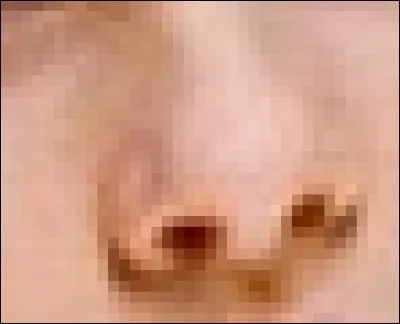 À qui est ce nez ?