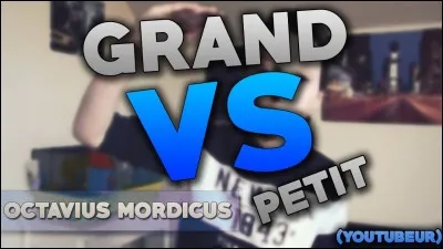 De quelle taille est le chihuahua adulte ?