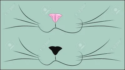 Les moustaches du chat lui servent à :