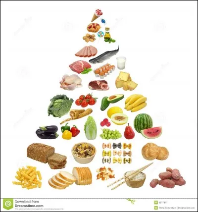 Quel genre de nourriture manges-tu ?