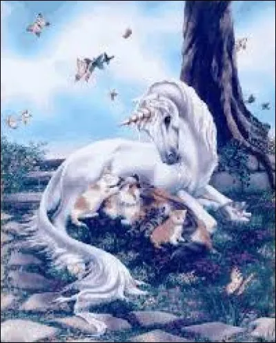 Oiseau des forêts de Nouvelle-Calédonie, inapte au vol, en voie d'extinction :