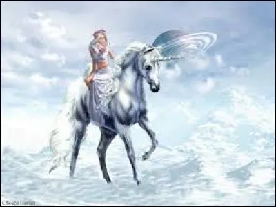 Arbrisseau épineux à fleurs jaunes :