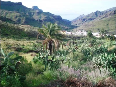 &Eacute;puisai professionnellement, donnai trop de travail.