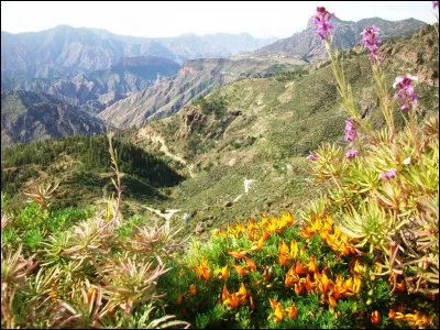 Conduirai ou dirigerai une enqu&ecirc;te ou un d&eacute;bat.