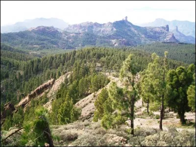 D'art, des glaces ou commer&ccedil;ante.