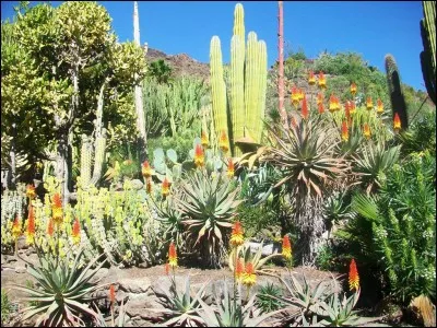 Maladie touchant beaucoup d'enfants africains, due &agrave; la malnutrition et provoquant une d&eacute;formation du visage.