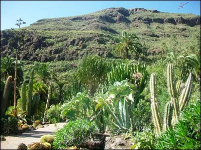 Il peut &ecirc;tre de justice ou de grossesse.