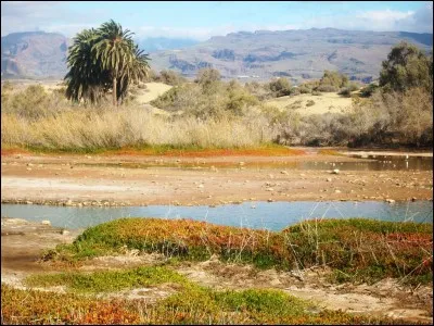En esp&eacute;rant que ce quiz l'aura &eacute;t&eacute; pour vous.