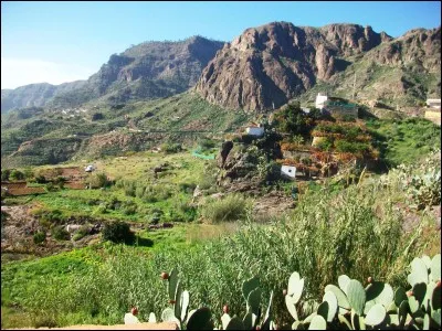 Bronz&eacute;e, h&acirc;l&eacute;e, color&eacute;e par le soleil en parlant de la peau.