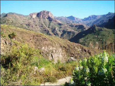 Se dit d'une surface lisse, ne pr&eacute;sentant pas d'asp&eacute;rit&eacute;.