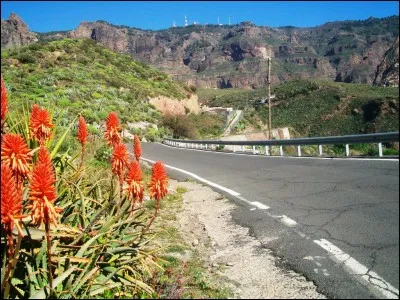Se dissipent, perdent leur vigueur ou leur &eacute;clat (s').