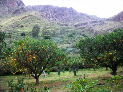 Recueillies, r&eacute;cup&eacute;r&eacute;es, ramass&eacute;es.