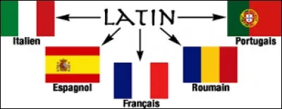 Langues étrangères - Le nom d'animal importun est .