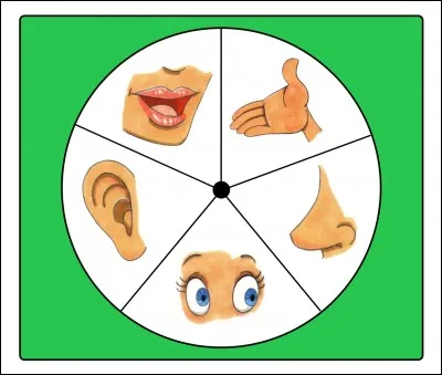 Sciences - Un verbe est à retirer de la liste, lequel ?